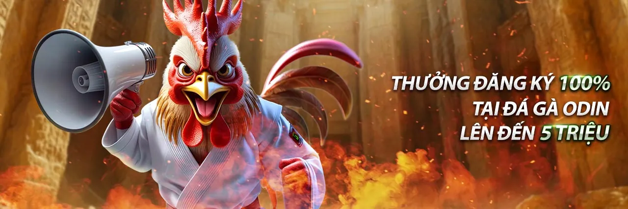 Đá gà trực tuyến Win55 Stu